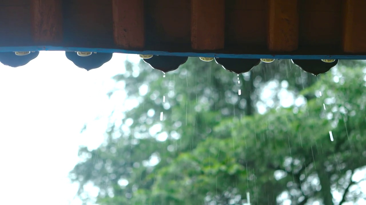 下雨天，雨水，自然环境视频素材