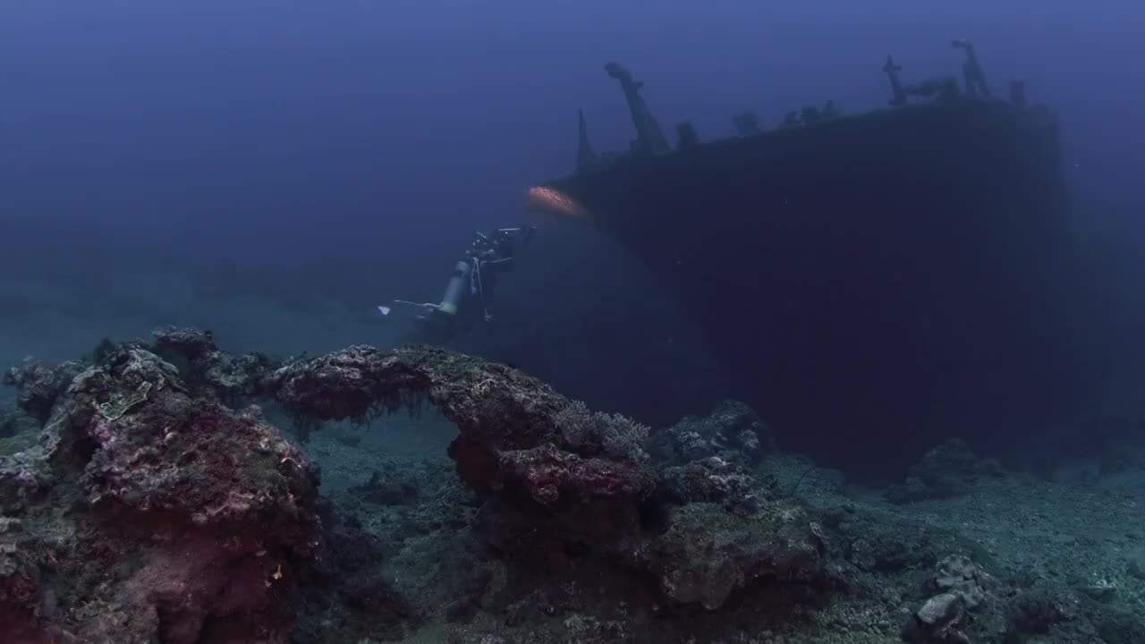 水下摄影师拍摄记录海洋水下世界视频素材