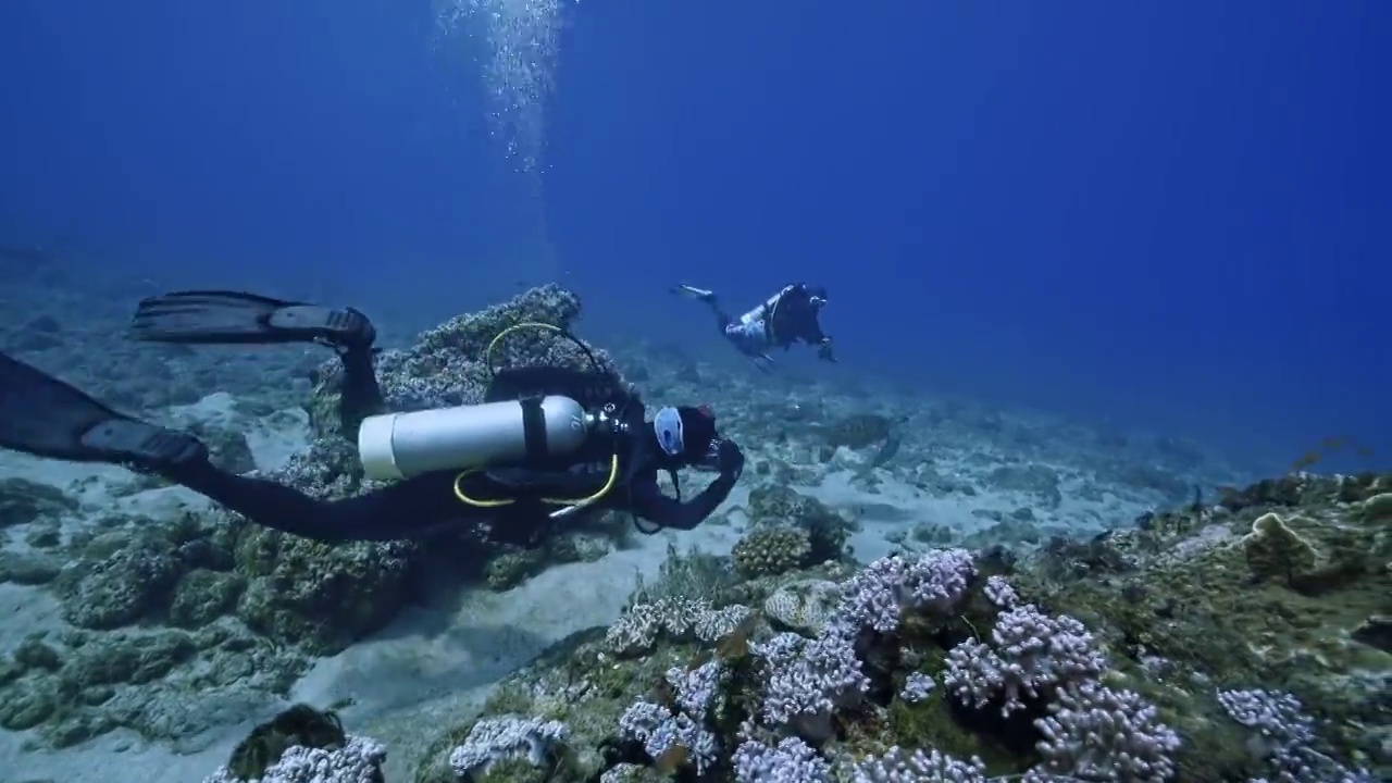 水下摄影师拍摄记录海洋水下世界视频素材