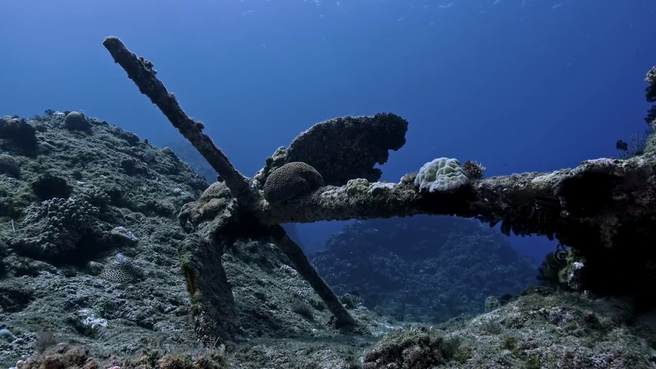 水下摄影海底遗弃的船锚视频素材