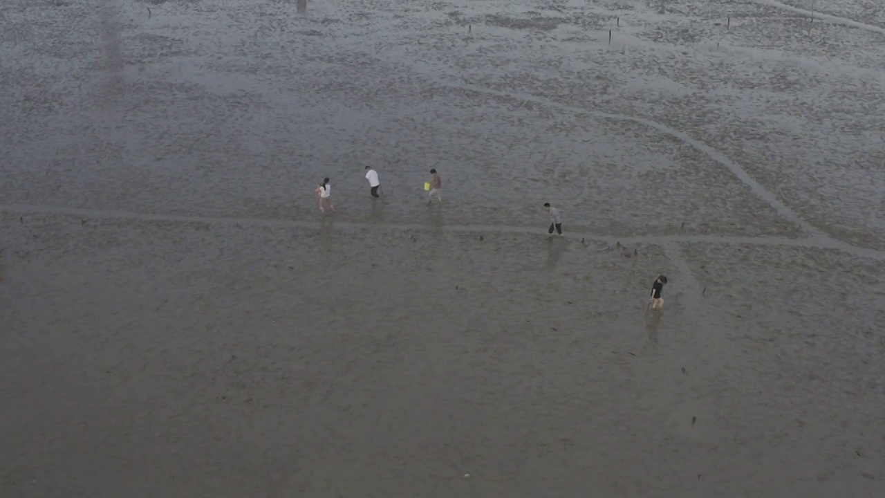 杭州湾跨海大桥视频素材