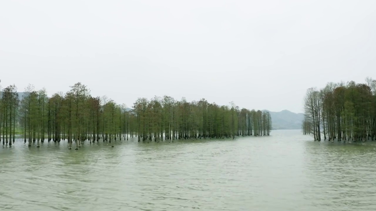 浙江宁波余姚四明湖春天航拍视频素材