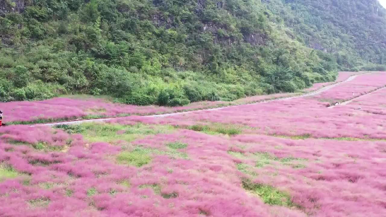 航拍贵州网红粉带视频素材