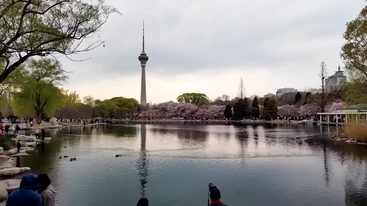 北京春天玉渊潭日转夜视频素材