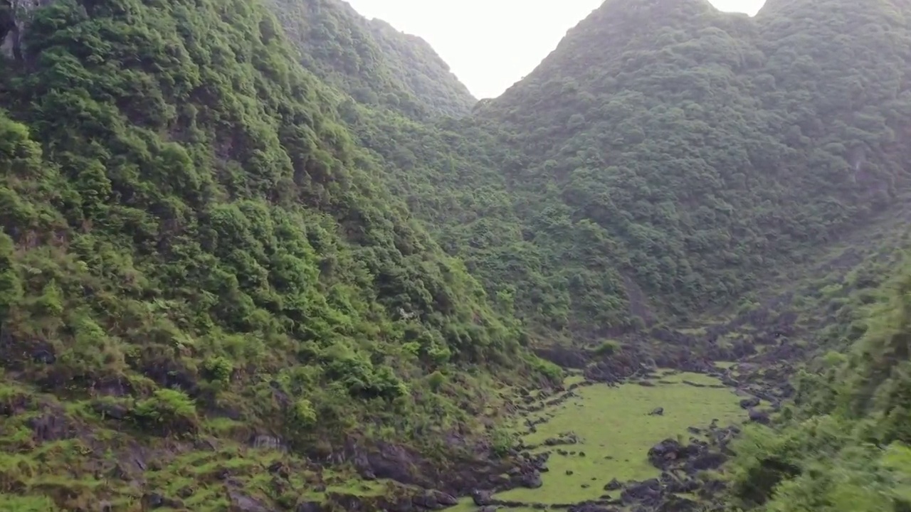 航拍贵州铜鼓荡喀斯特地貌石林山谷草坪视频素材