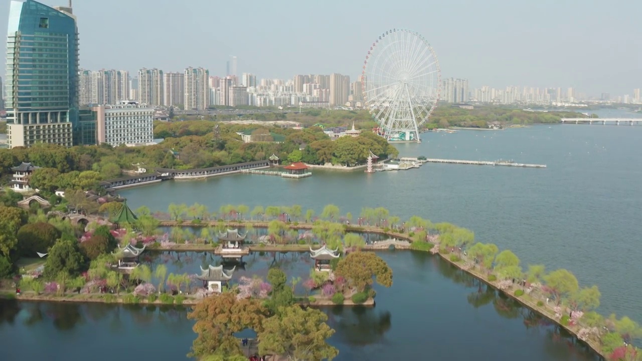 航拍无锡蠡园风景区春天风景视频素材