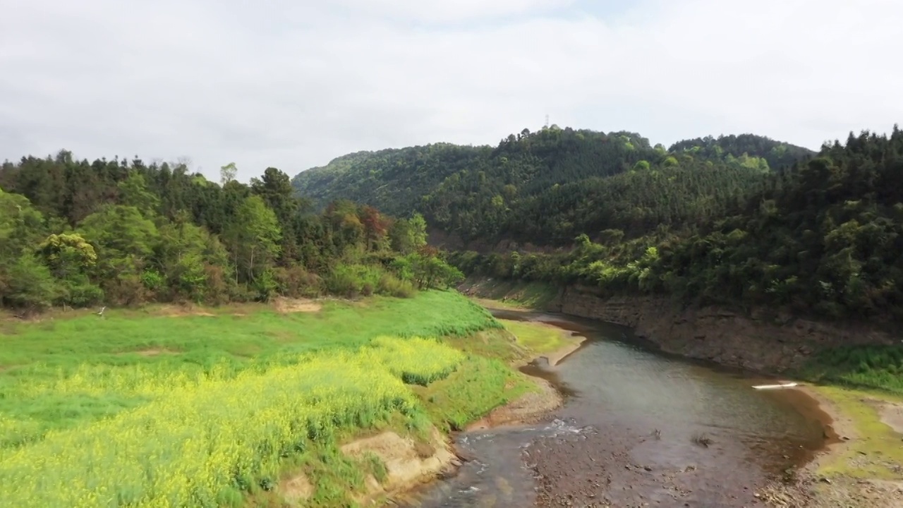 春天阳光下桂林公平湖畔盛开的油菜花视频素材