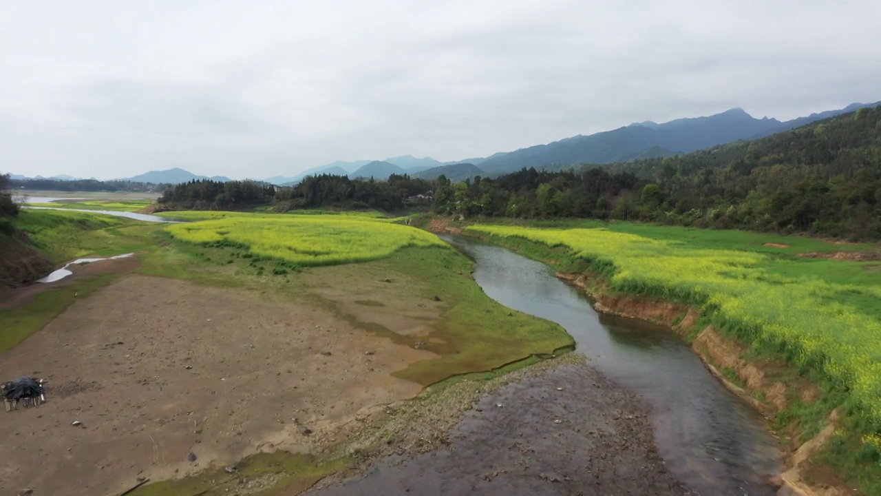 春天阳光下桂林公平湖畔盛开的油菜花视频素材