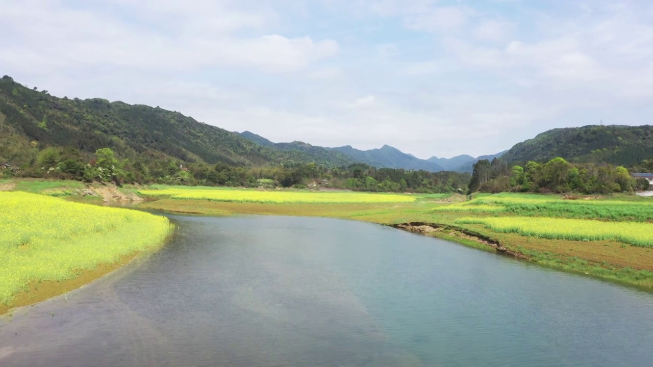 春天阳光下桂林公平湖畔盛开的油菜花视频素材