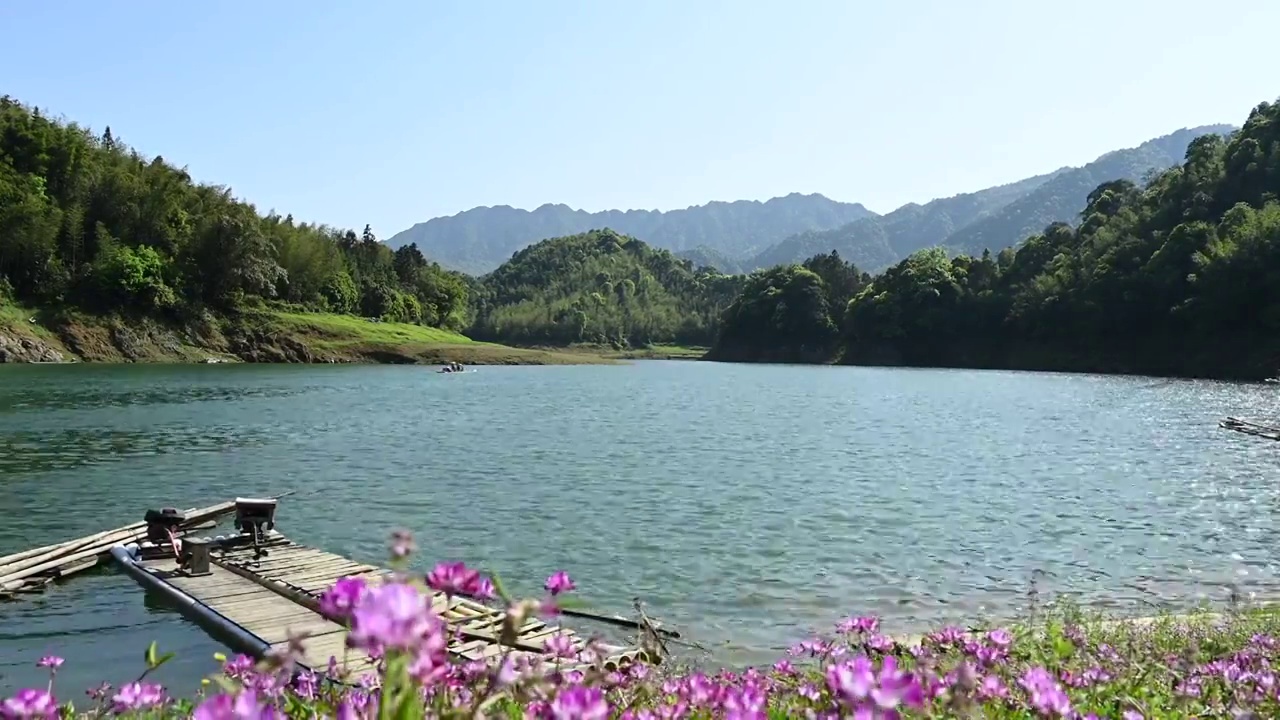 春天阳光下桂林群山间的湖和湖畔盛开的紫云英视频素材