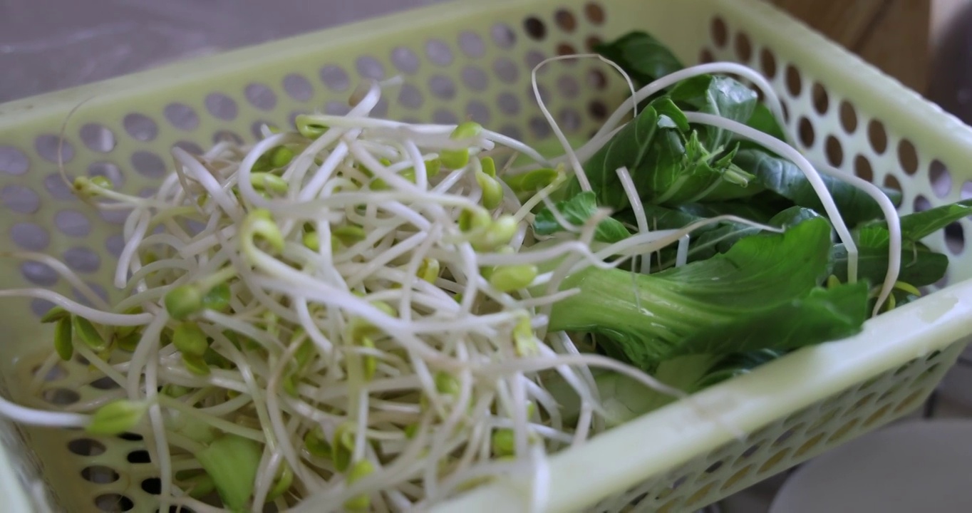 美食烹饪：炒面制作辅料，豆芽与瓢儿白菜视频素材