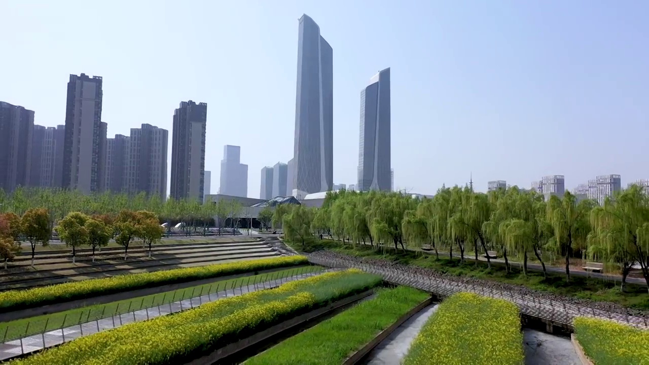 南京河西南京眼旅游区临江公园，南京河西奥体双子塔，油菜花开放的城市田园风光视频素材