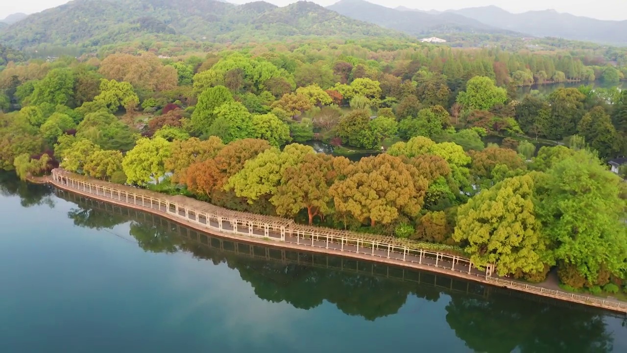 杭州西湖十景花港公园春色航拍视频素材