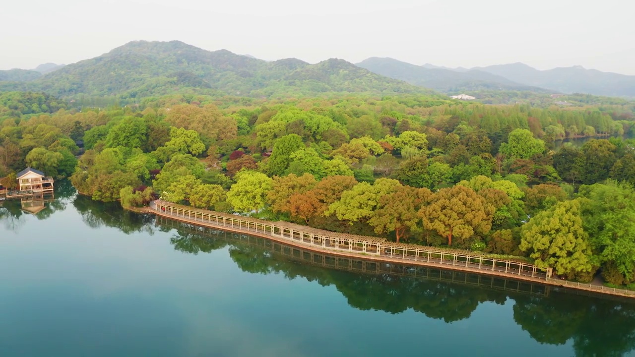 杭州西湖十景花港公园春色航拍视频素材