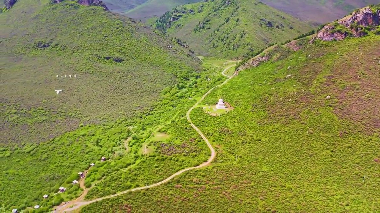 中国大西北甘肃省高山草原自然风景佛教白塔航拍视频素材