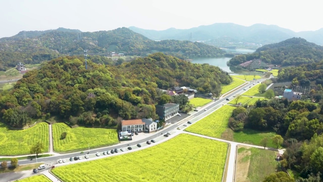 浙江杭州滨江湘湖春色油菜花航拍视频素材