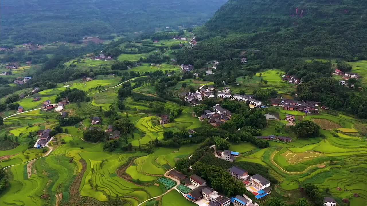 重庆乡村秋色视频素材