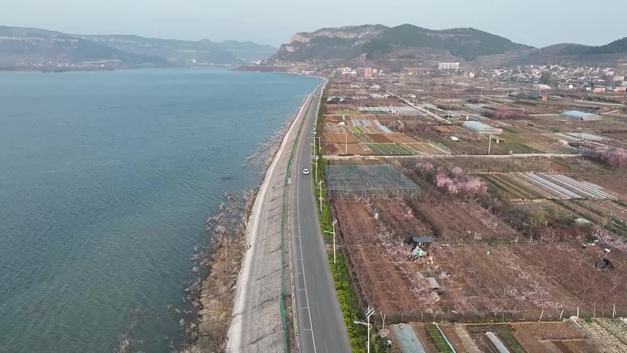 航拍济南卧虎山水库岸边桃花盛开视频素材