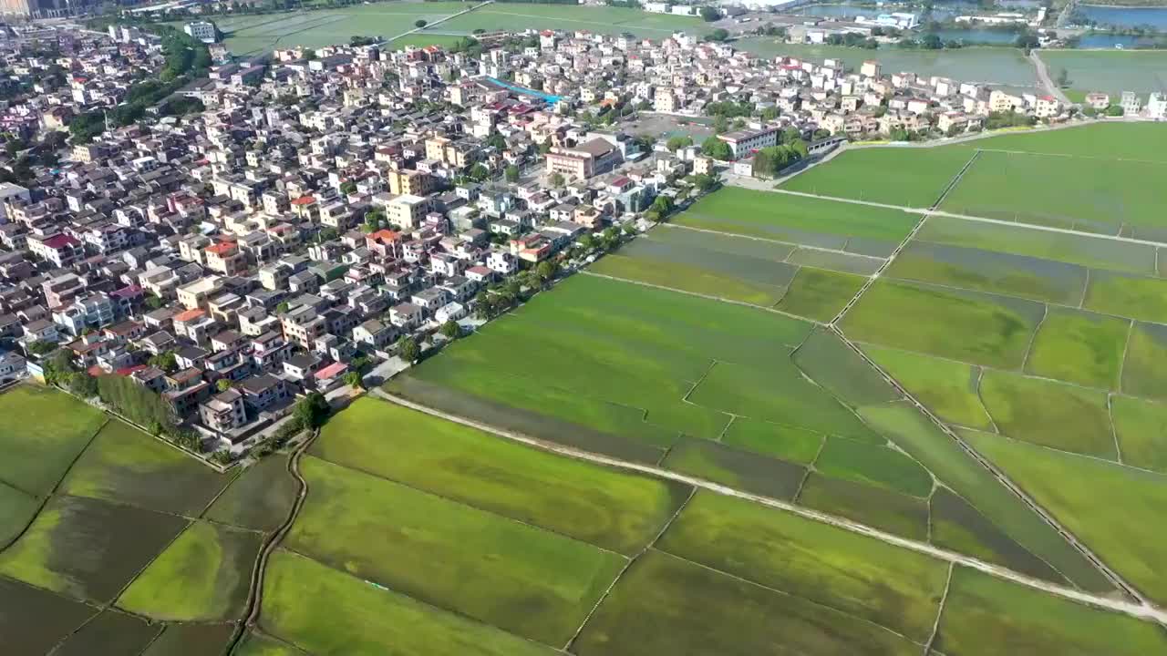 中山崖口村视频下载