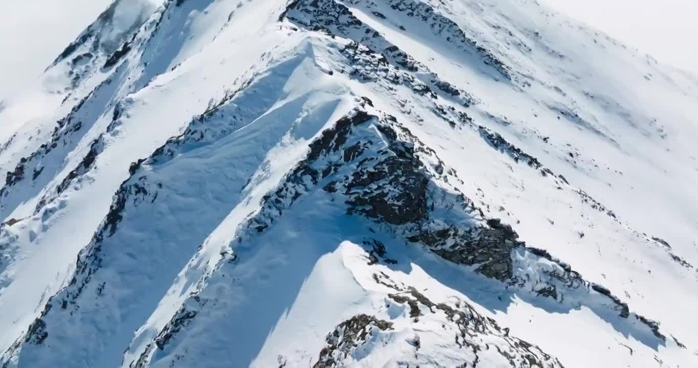 四川小金县夹金山的航拍镜头雪山云海美丽自然风景视频素材