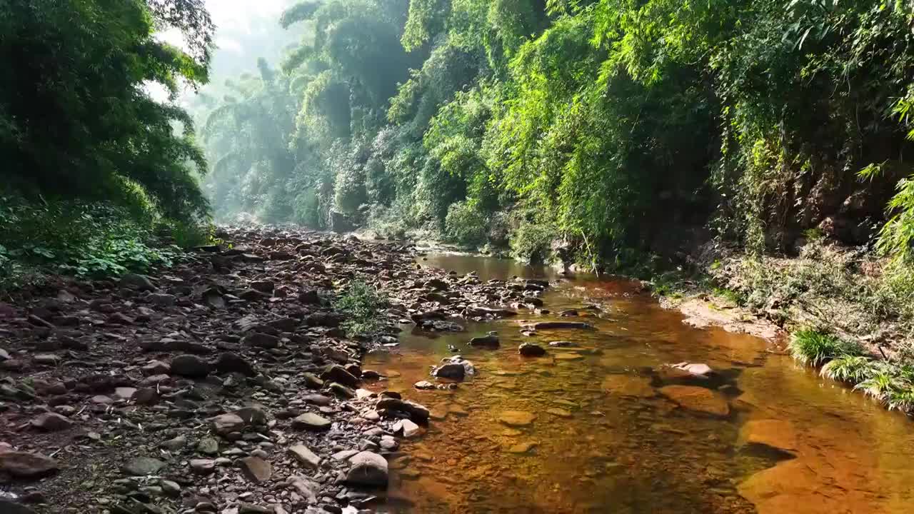 山林小溪竹林航拍视频素材