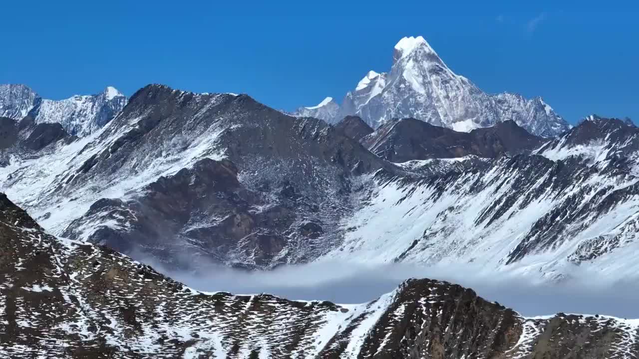 四川阿坝小金县夹金山四姑娘山的航拍视频 冬天白雪覆盖山顶云海飘渺视频素材