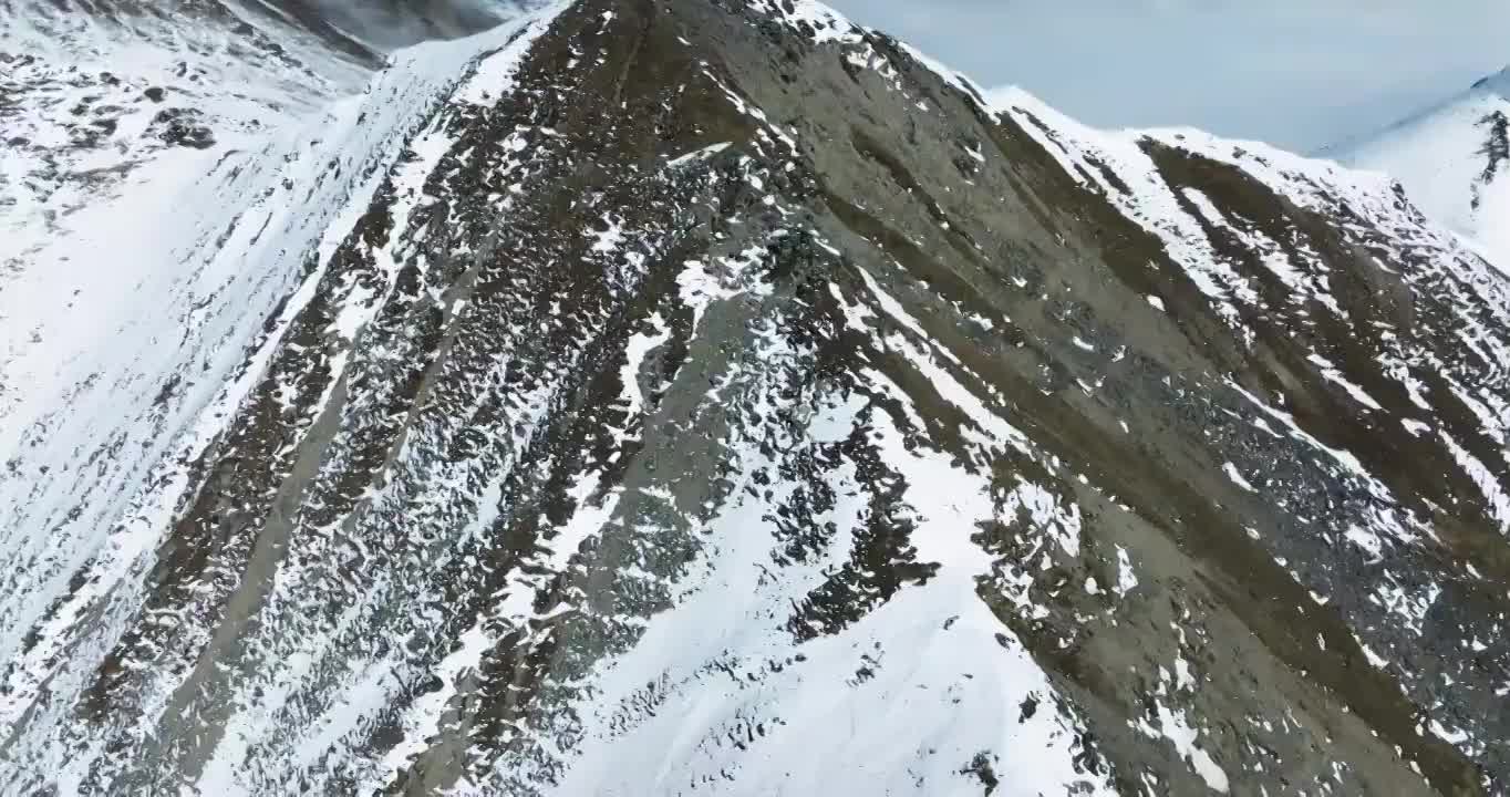 四川阿坝小金县夹金山的航拍视频 冬天白雪覆盖山顶云海飘渺视频素材