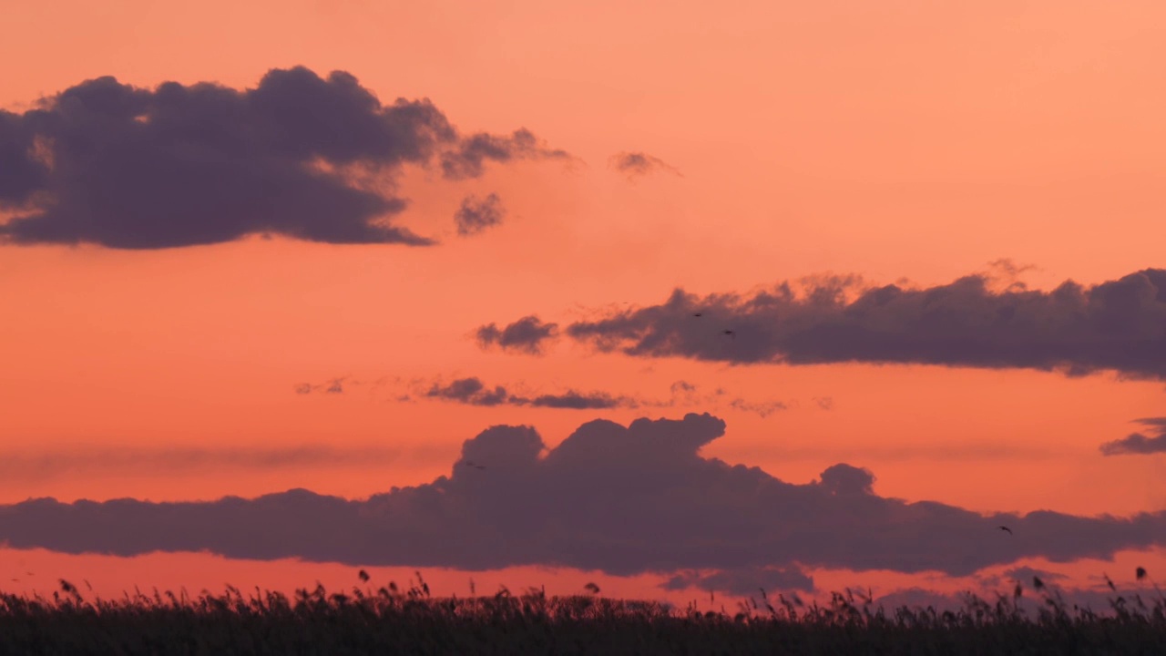 湿地夕阳视频素材