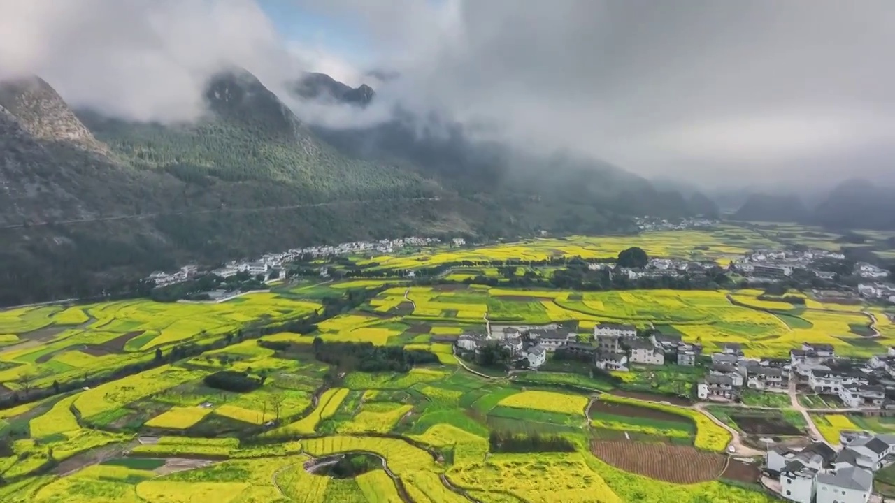 贵州兴义万峰林的油菜花海视频素材