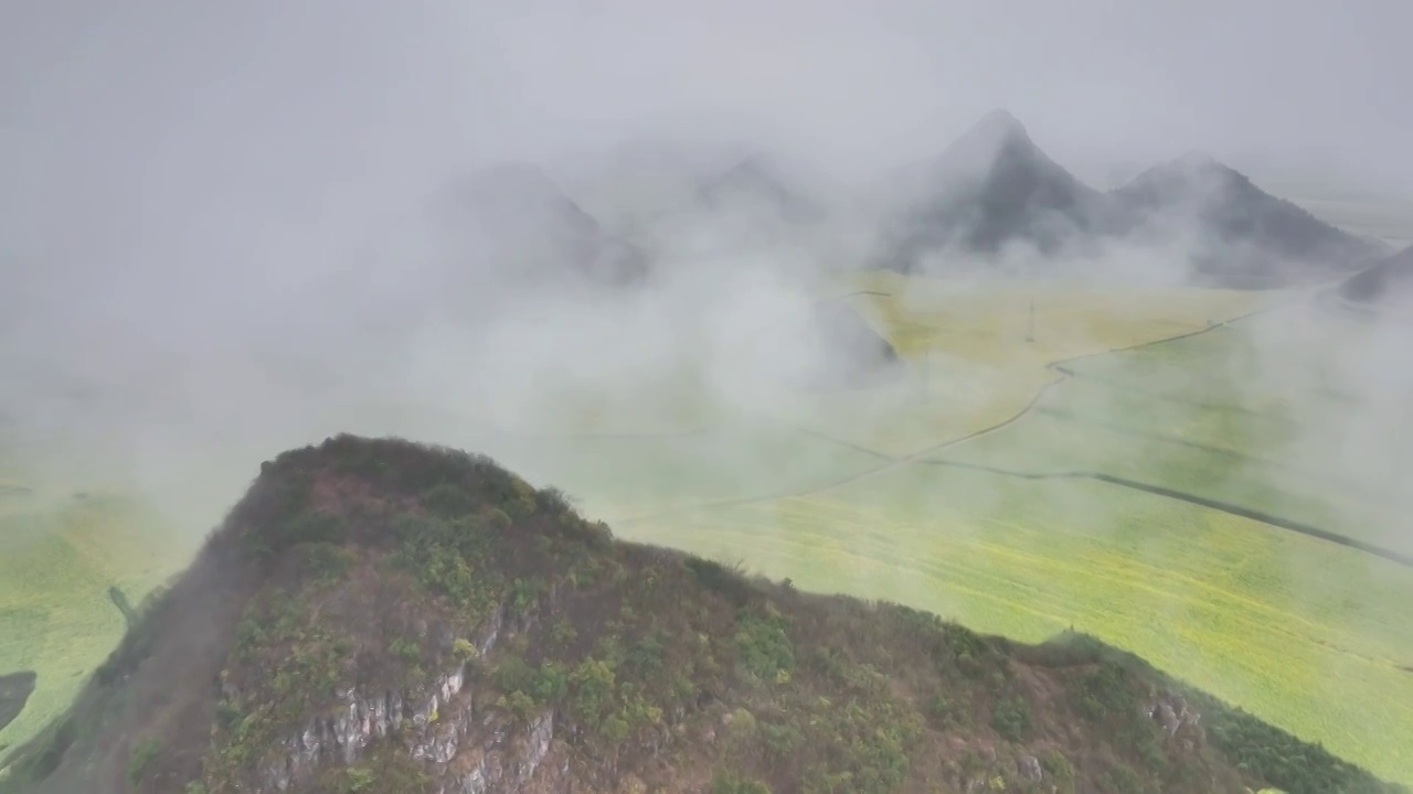 云南罗平的油菜花海视频素材