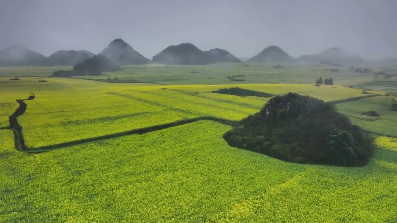 云南罗平的油菜花海视频素材