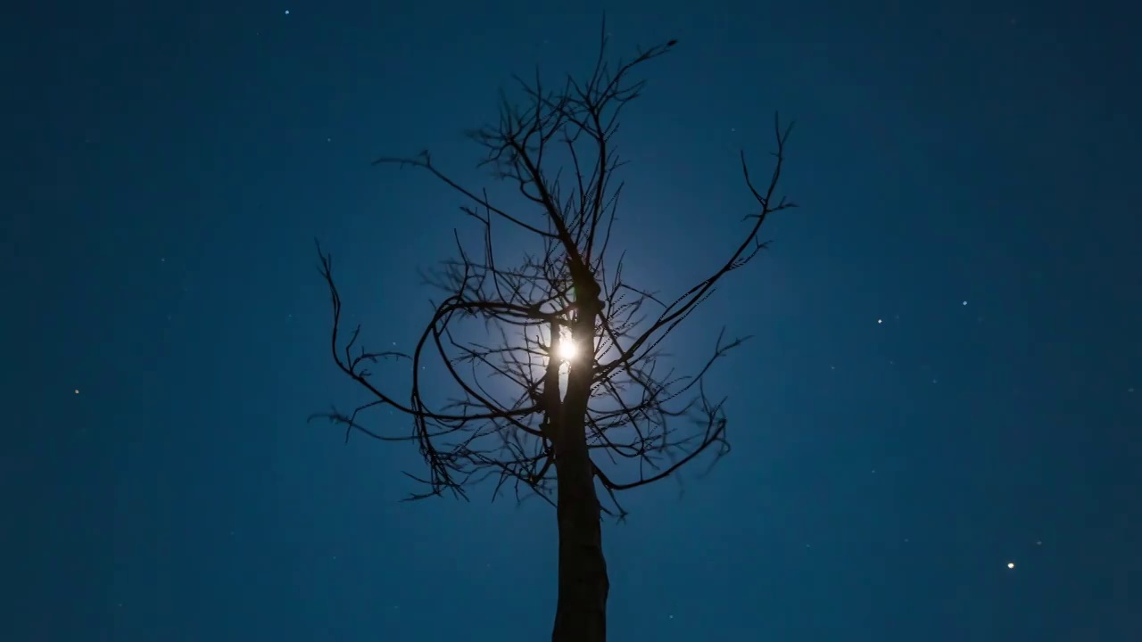 月亮星空视频素材