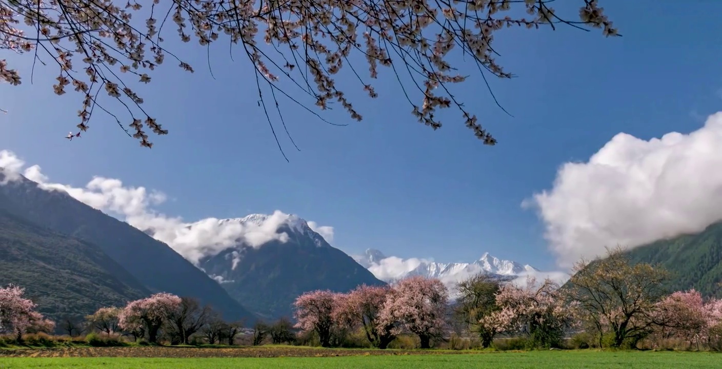 林芝波密桃花谷雪山延时视频素材