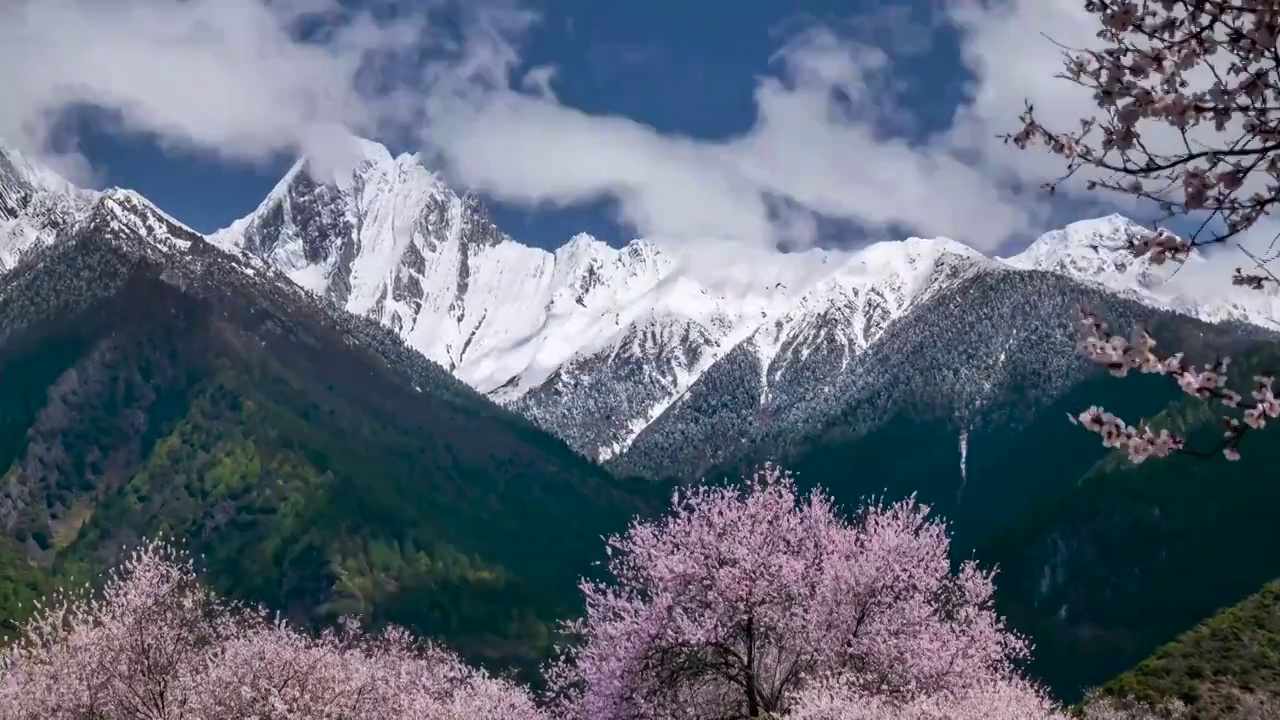 西藏林芝波密古通村桃花谷延时8视频素材