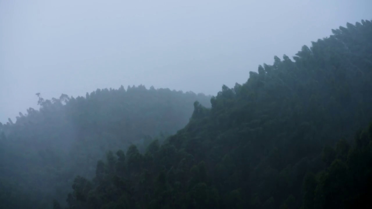 狂风暴雨中的深山视频素材