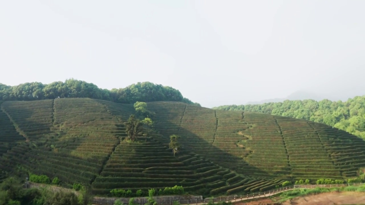 杭州西湖区龙坞镇光明寺水库航拍视频素材