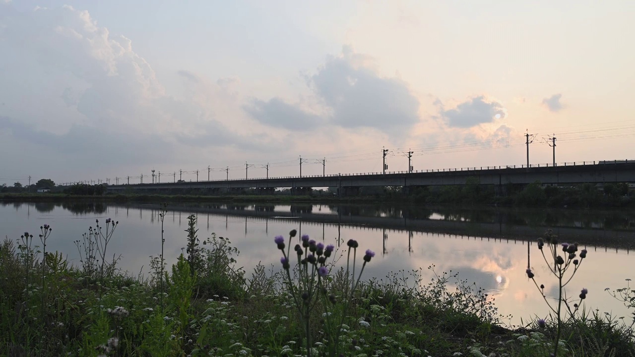 春天夕阳下动车行驶在湖上的铁路高架桥上视频素材