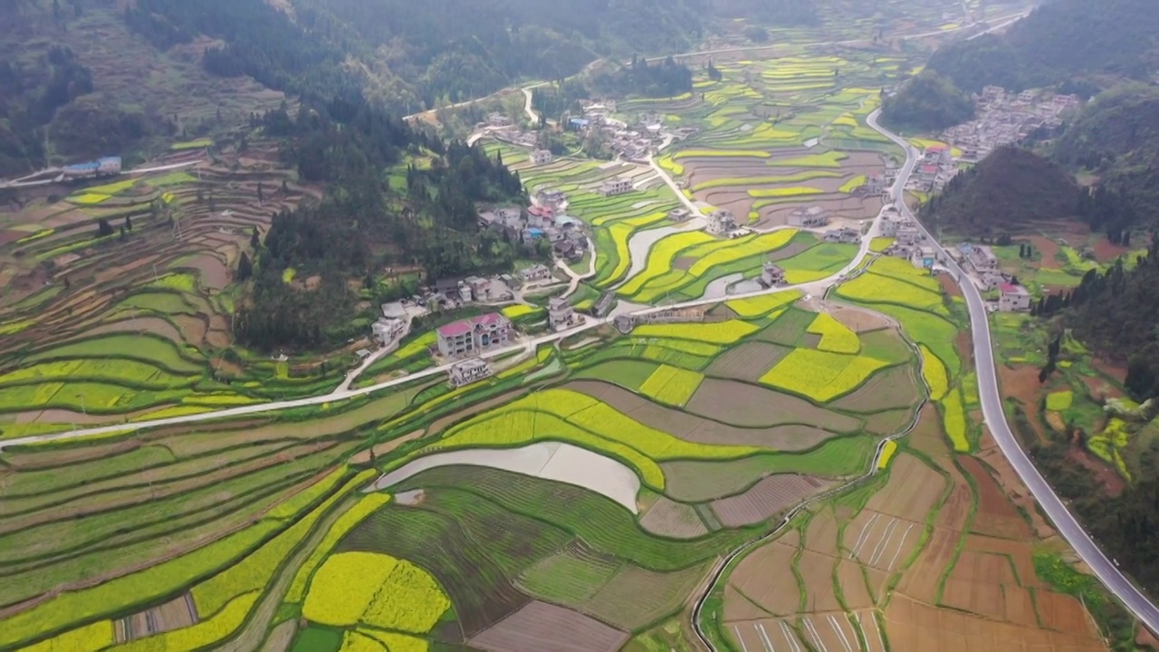 航拍贵州乐坪油菜花海（六）视频素材