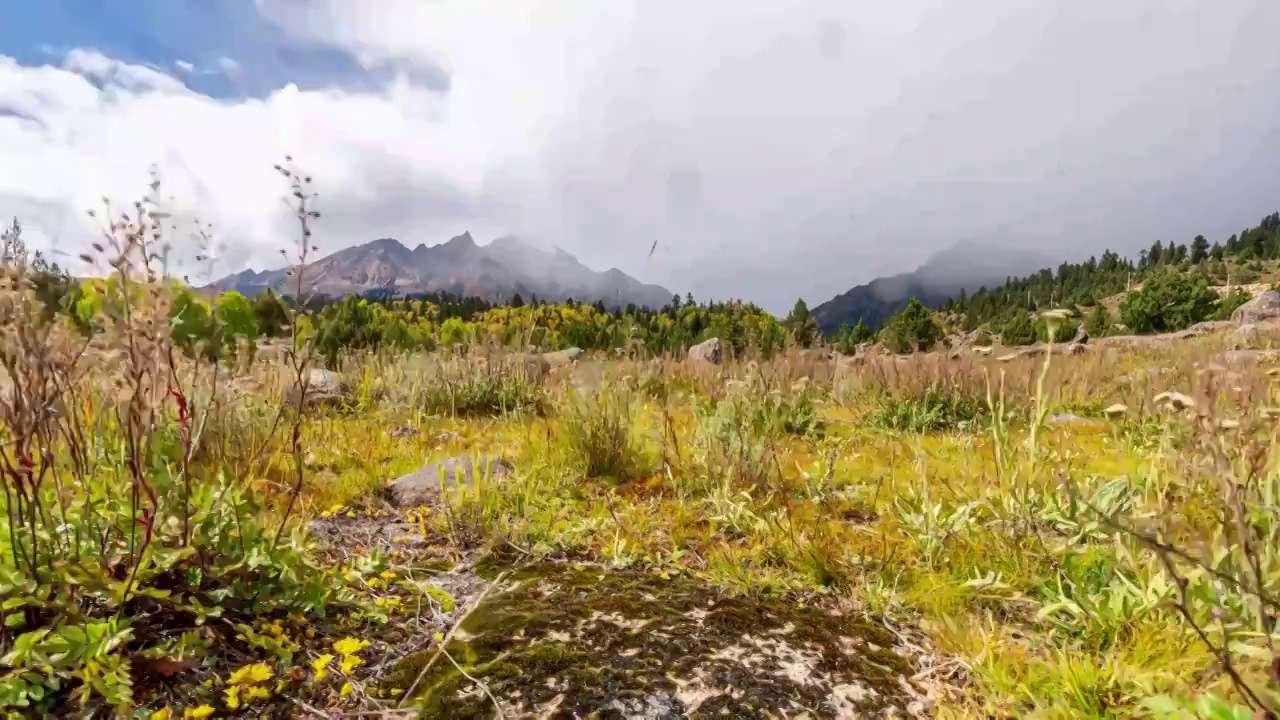 四川甘孜州理塘县热柯乡格聂神山风景区视频素材