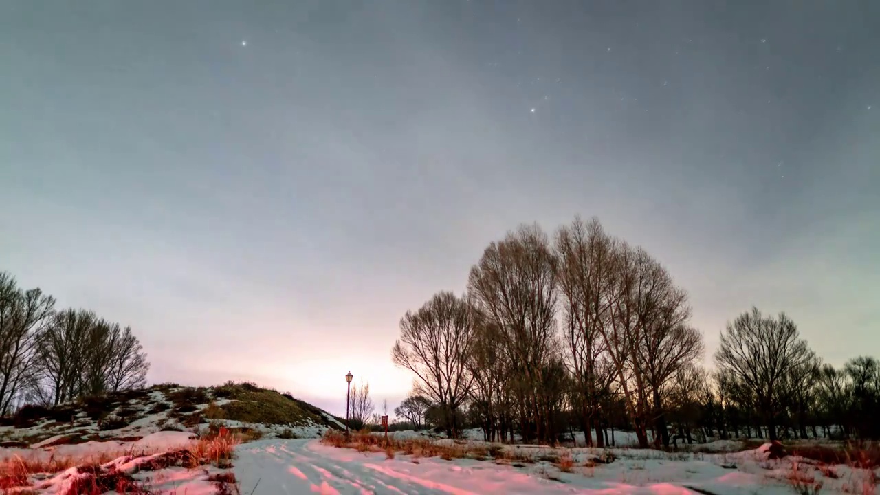 冬季雪景树林星空8k延时视频素材