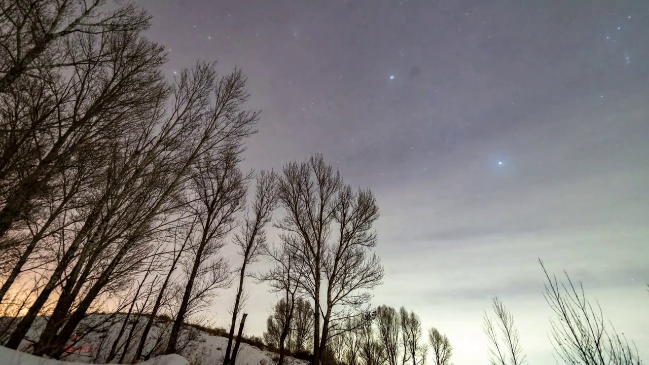 冬季雪景树林星空8k延时视频素材