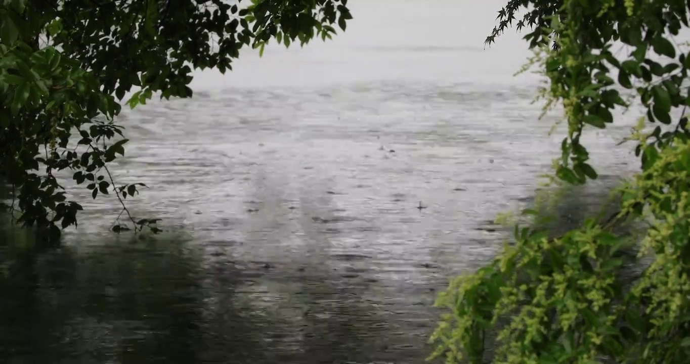 江南春天下雨湖面雨滴空镜视频素材