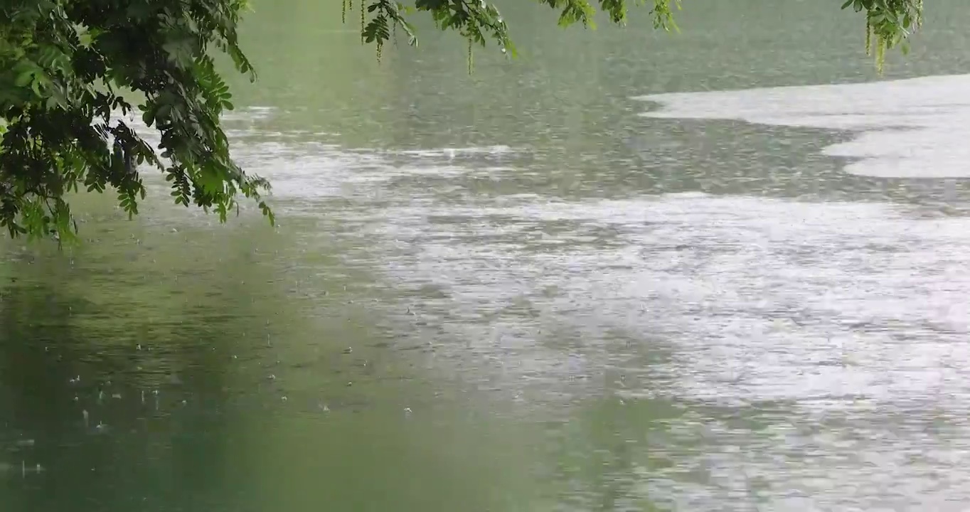 江南春天下雨湖面雨滴空镜视频素材