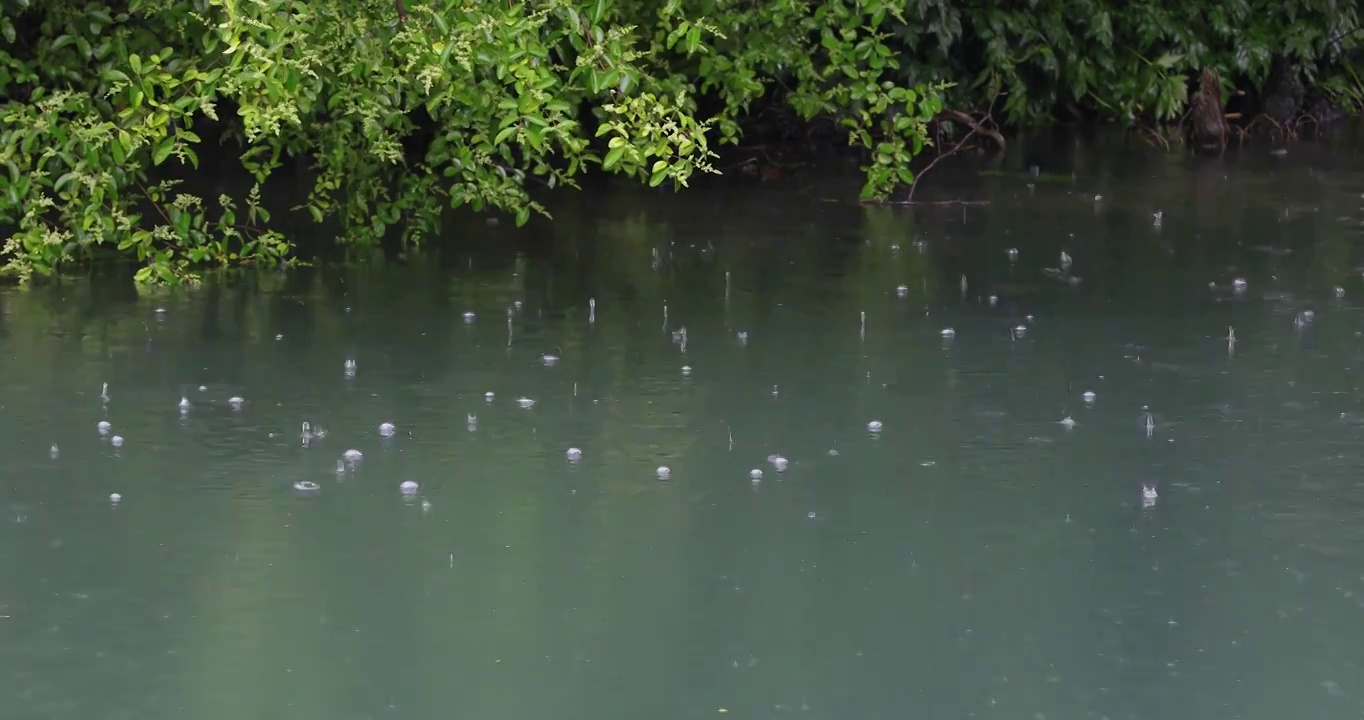 江南春天下雨湖面雨滴空镜视频素材