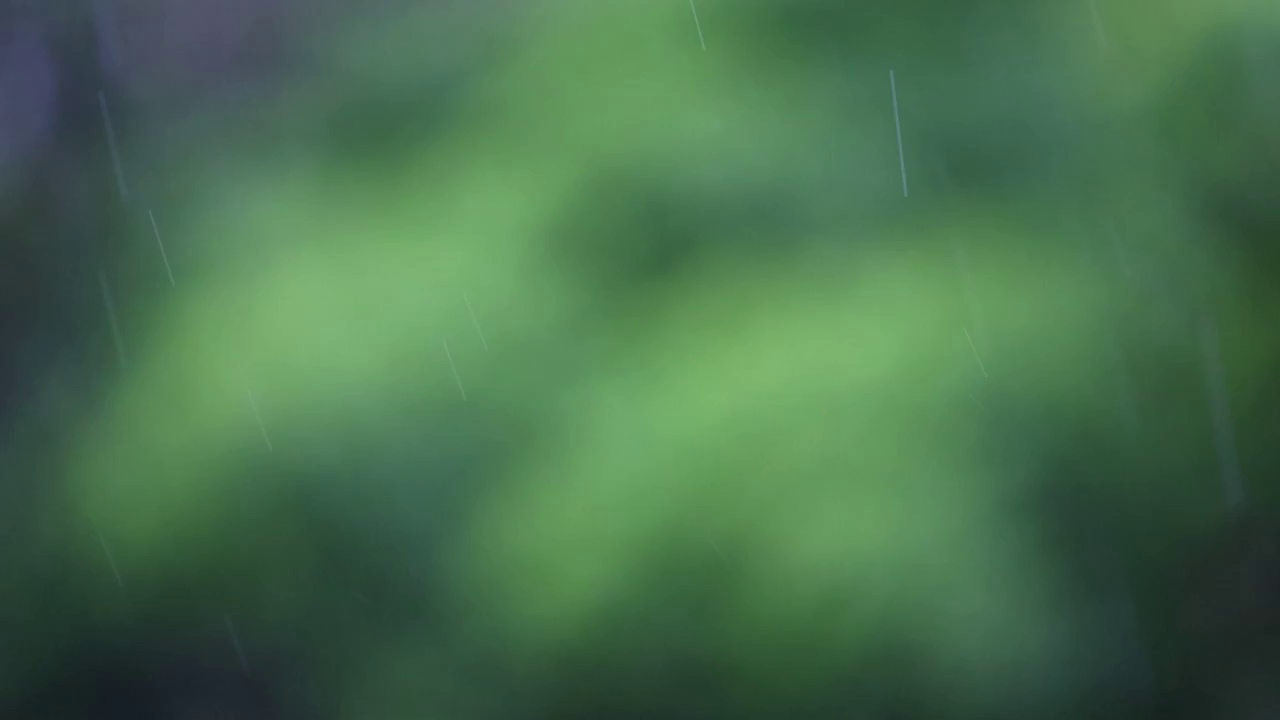 大雨天 Raining视频素材