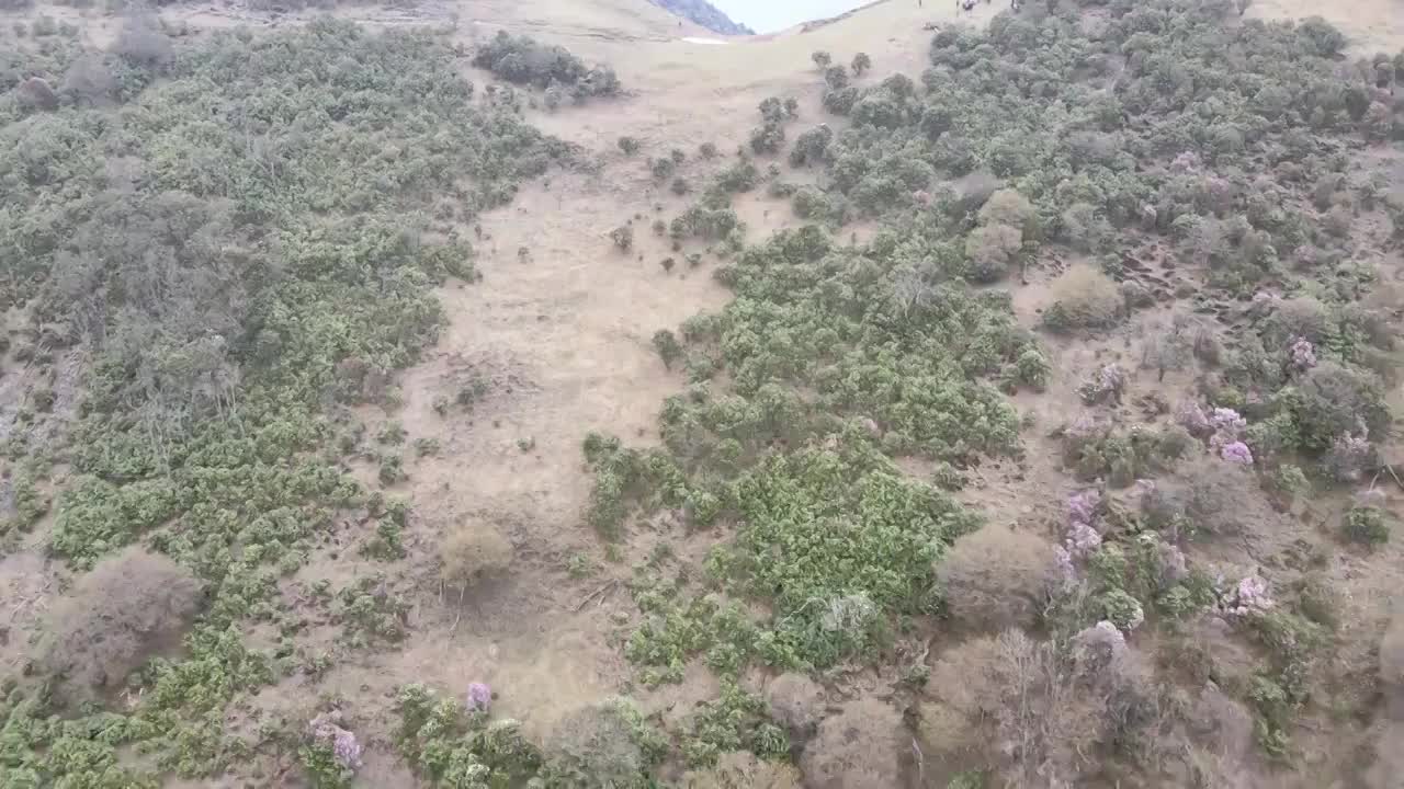 云南兰坪雪邦山白龙潭风光视频素材