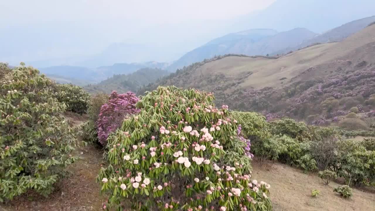 云南兰坪雪邦山白龙潭风光视频素材