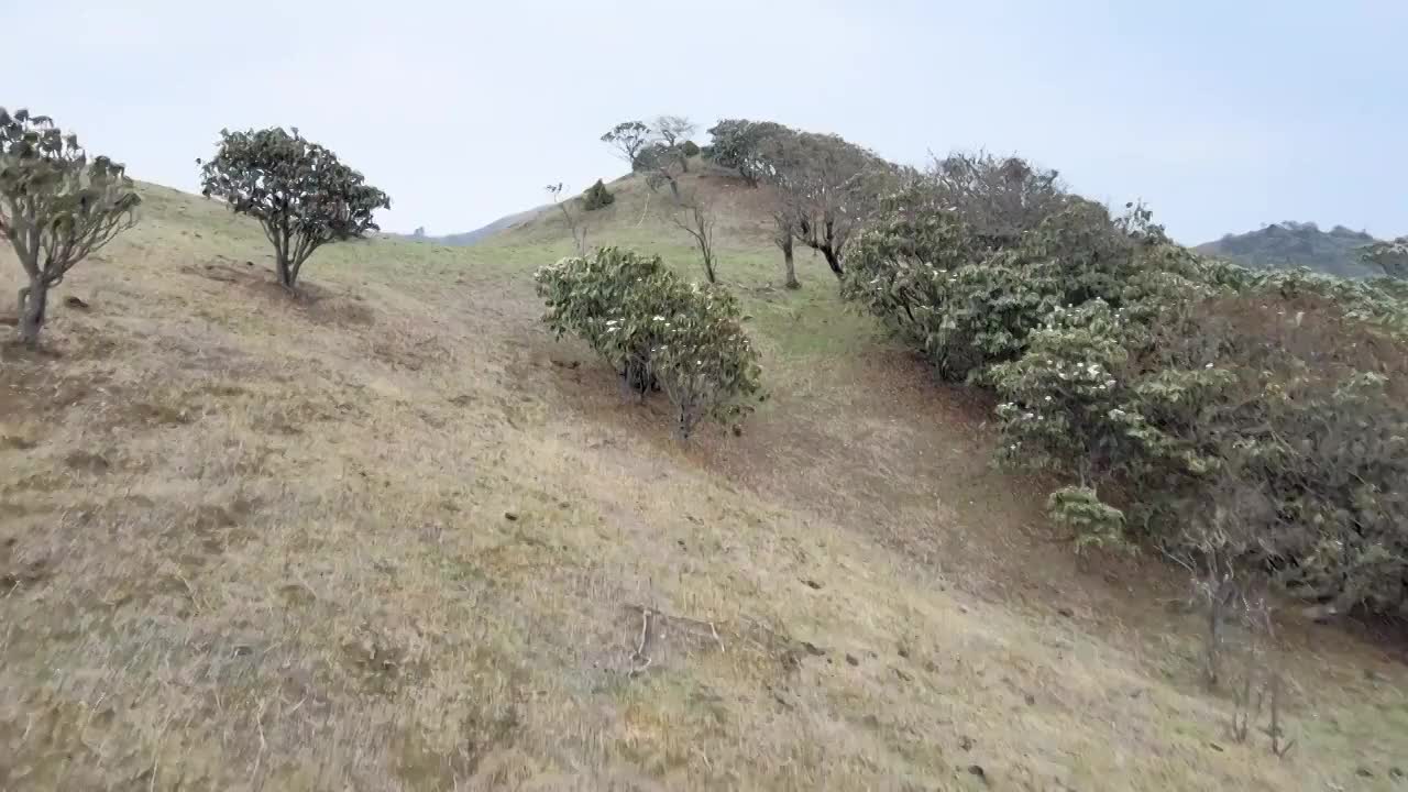 云南兰坪雪邦山白龙潭风光视频素材