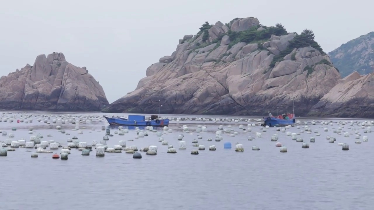 海上贻贝养殖场视频素材