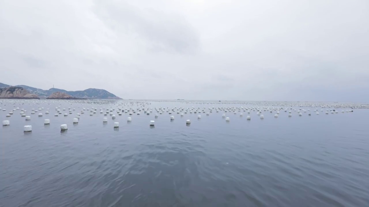 海上贻贝养殖场视频素材